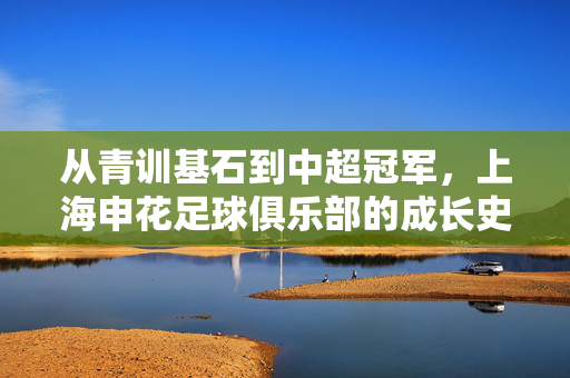 从青训基石到中超冠军，上海申花足球俱乐部的成长史诗，从青训基石到中超冠军，上海申花足球俱乐部的成长史诗