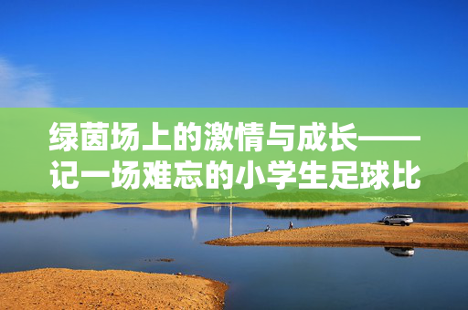 绿茵场上的激情与成长——记一场难忘的小学生足球比赛，绿茵场上的激情与成长——记一场难忘的小学生足球比赛