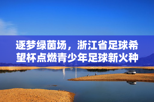 逐梦绿茵场，浙江省足球希望杯点燃青少年足球新火种，逐梦绿茵场，浙江省足球希望杯点燃青少年足球新火种