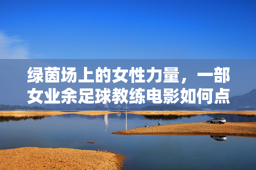 绿茵场上的女性力量，一部女业余足球教练电影如何点燃梦想与激情，绿茵场上的女性力量，女业余足球教练电影如何点燃梦想与激情