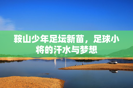 鞍山少年足坛新苗，足球小将的汗水与梦想