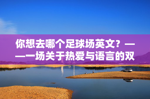 你想去哪个足球场英文？——一场关于热爱与语言的双向奔赴，你想去哪个足球场英文？——一场关于热爱与语言的双向奔赴