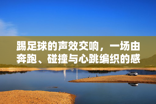 踢足球的声效交响，一场由奔跑、碰撞与心跳编织的感官盛宴，踢足球的声效交响，一场由奔跑、碰撞与心跳编织的感官盛宴