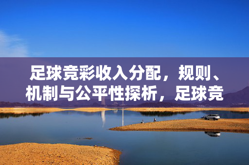 足球竞彩收入分配，规则、机制与公平性探析，足球竞彩收入分配，规则、机制与公平性探析