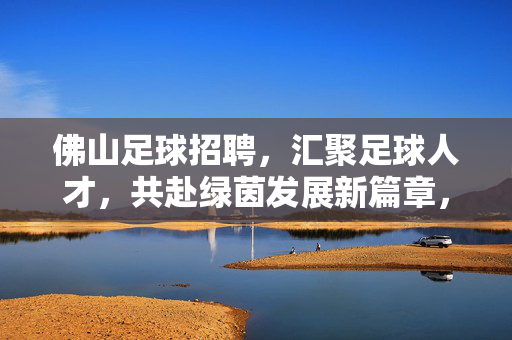 佛山足球招聘，汇聚足球人才，共赴绿茵发展新篇章，佛山足球招聘，汇聚足球人才，共赴绿茵发展新篇章