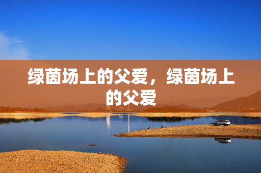 绿茵场上的父爱，绿茵场上的父爱