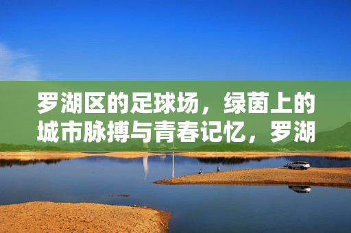罗湖区的足球场，绿茵上的城市脉搏与青春记忆，罗湖区的足球场，绿茵上的城市脉搏与青春记忆