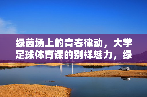 绿茵场上的青春律动，大学足球体育课的别样魅力，绿茵场上的青春律动，大学足球体育课的别样魅力