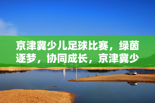 京津冀少儿足球比赛，绿茵逐梦，协同成长，京津冀少儿足球比赛，绿茵逐梦，协同成长