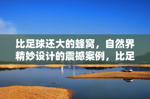 比足球还大的蜂窝，自然界精妙设计的震撼案例，比足球还大的蜂窝，自然界精妙设计的震撼案例