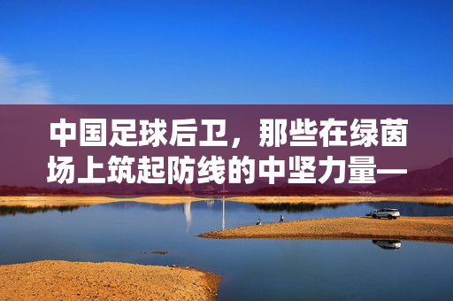 中国足球后卫，那些在绿茵场上筑起防线的中坚力量——聚焦当前联赛与国家队中的优秀后卫群体，中国足球后卫，在绿茵场上筑起防线的中坚力量——聚焦当前联赛与国家队优秀后卫群体