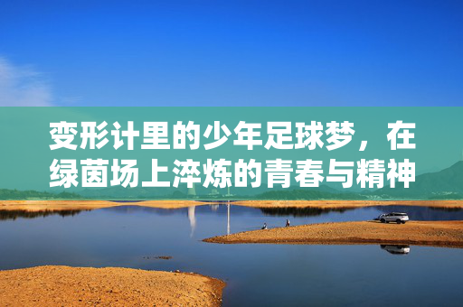 变形计里的少年足球梦，在绿茵场上淬炼的青春与精神力量，变形计里的少年足球梦，绿茵场淬炼的青春与精神力量