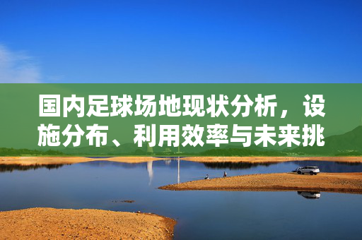 国内足球场地现状分析，设施分布、利用效率与未来挑战的多维审视