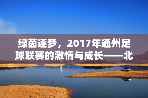 绿茵逐梦，2017年通州足球联赛的激情与成长——北京城市副中心足球运动的生动实践，绿茵逐梦，2017年通州足球联赛的激情与成长——北京城市副中心足球运动的生动实践