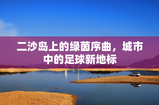 二沙岛上的绿茵序曲,城市中的足球新地标