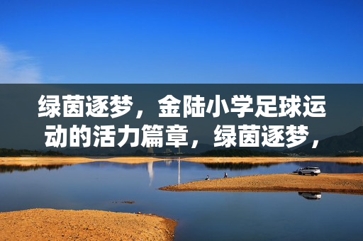 绿茵逐梦，金陆小学足球运动的活力篇章，绿茵逐梦，金陆小学足球运动的活力篇章