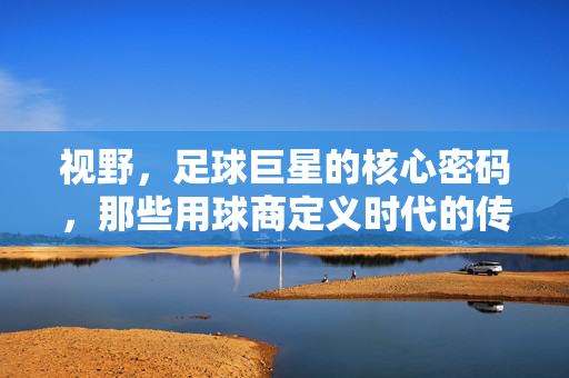 视野，足球巨星的核心密码，那些用球商定义时代的传奇，视野，足球巨星的核心密码，那些用球商定义时代的传奇
