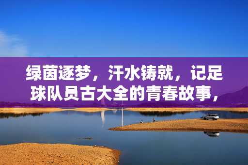 绿茵逐梦，汗水铸就，记足球队员古大全的青春故事，绿茵逐梦，汗水铸就，记足球队员古大全的青春故事