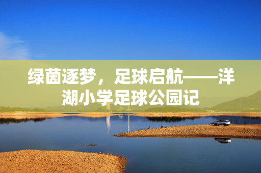 绿茵逐梦，足球启航——洋湖小学足球公园记