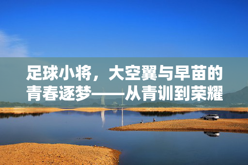 足球小将，大空翼与早苗的青春逐梦——从青训到荣耀的并肩之路
