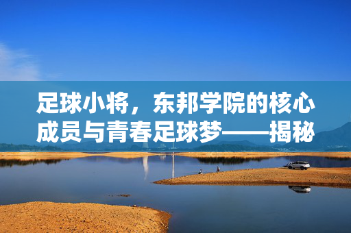 足球小将，东邦学院的核心成员与青春足球梦——揭秘这支强队的关键球员