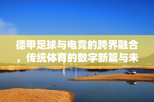 德甲足球与电竞的跨界融合，传统体育的数字新篇与未来图景