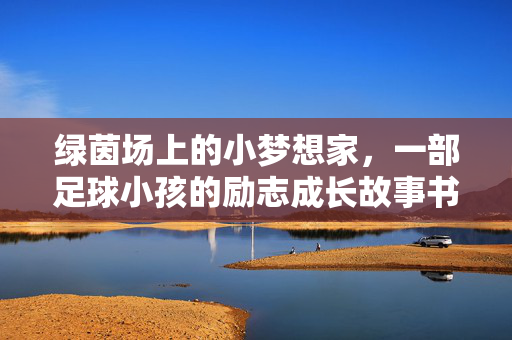 绿茵场上的小梦想家，一部足球小孩的励志成长故事书