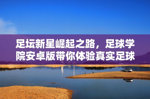 足坛新星崛起之路，足球学院安卓版带你体验真实足球管理魅力
