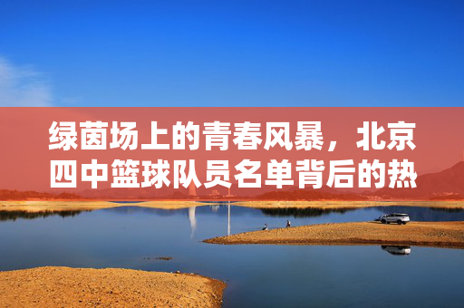绿茵场上的青春风暴，北京四中篮球队员名单背后的热血与坚守，北京四中篮球队，青春风暴里的热血坚守