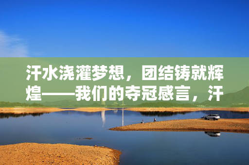 汗水浇灌梦想，团结铸就辉煌——我们的夺冠感言，汗水浇灌梦想，团结铸就辉煌——夺冠感言