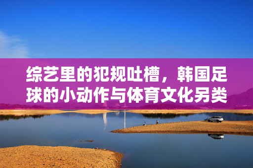 综艺里的犯规吐槽，韩国足球的小动作与体育文化另类观察，综艺里的犯规吐槽，韩国足球小动作与体育文化另类观察