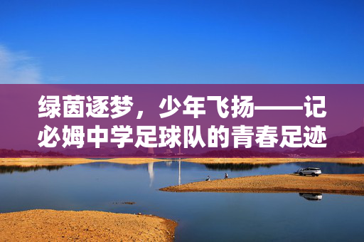 绿茵逐梦，少年飞扬——记必姆中学足球队的青春足迹