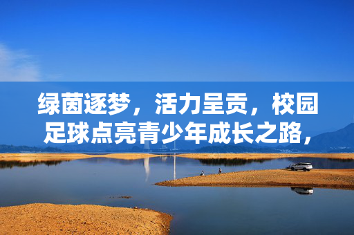 绿茵逐梦，活力呈贡，校园足球点亮青少年成长之路，绿茵逐梦，活力呈贡，校园足球点亮青少年成长之路