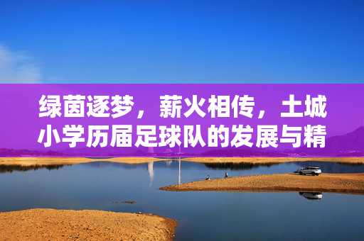绿茵逐梦，薪火相传，土城小学历届足球队的发展与精神传承