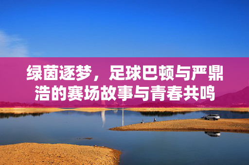 绿茵逐梦，足球巴顿与严鼎浩的赛场故事与青春共鸣