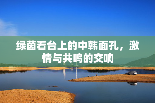 绿茵看台上的中韩面孔，激情与共鸣的交响