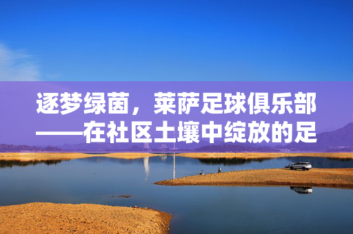 逐梦绿茵，莱萨足球俱乐部——在社区土壤中绽放的足球之花