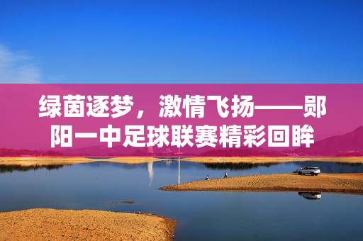 绿茵逐梦，激情飞扬——郧阳一中足球联赛精彩回眸