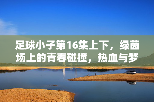 足球小子第16集上下，绿茵场上的青春碰撞，热血与梦想的交织——剧情解析与精彩瞬间回顾