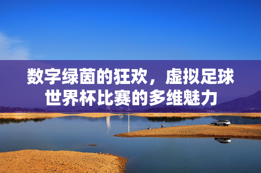 数字绿茵的狂欢，虚拟足球世界杯比赛的多维魅力