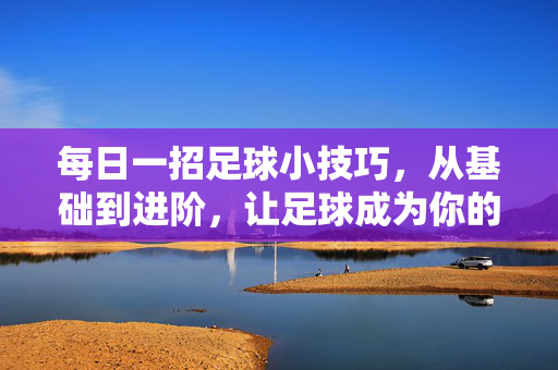 每日一招足球小技巧，从基础到进阶，让足球成为你的技能伙伴