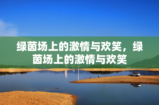 绿茵场上的激情与欢笑，绿茵场上的激情与欢笑