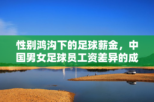 性别鸿沟下的足球薪金，中国男女足球员工资差异的成因与反思