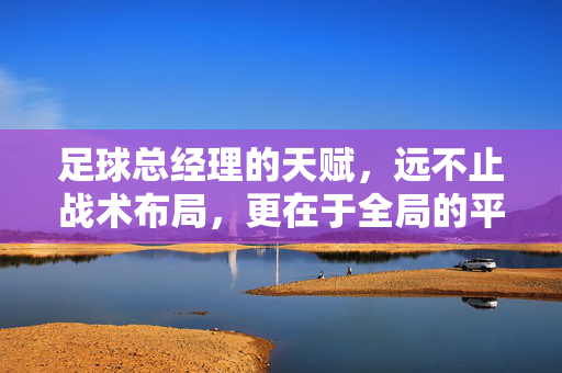 足球总经理的天赋，远不止战术布局，更在于全局的平衡与长远视野，足球总经理的天赋，平衡与长远视野，远超战术布局
