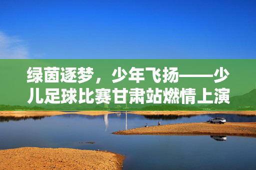绿茵逐梦，少年飞扬——少儿足球比赛甘肃站燃情上演，绿茵逐梦，少年飞扬——少儿足球比赛甘肃站燃情上演