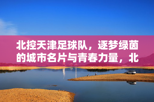 北控天津足球队，逐梦绿茵的城市名片与青春力量，北控天津足球队，逐梦绿茵的城市名片与青春力量