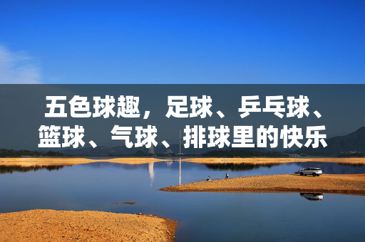 五色球趣，足球、乒乓球、篮球、气球、排球里的快乐与激情，五色球趣，足球、乒乓球、篮球、气球、排球里的快乐与激情