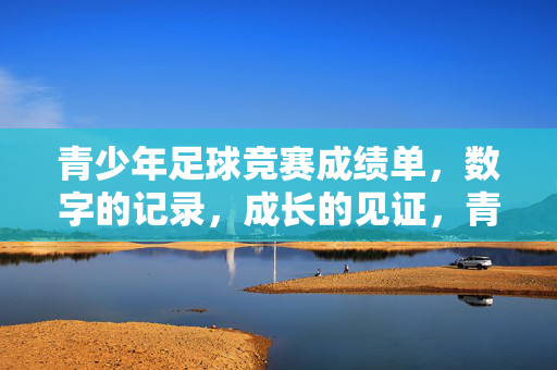 青少年足球竞赛成绩单，数字的记录，成长的见证，青少年足球竞赛成绩单，数字的记录，成长的见证