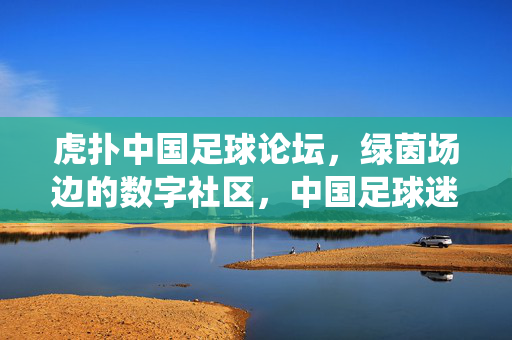 虎扑中国足球论坛，绿茵场边的数字社区，中国足球迷的精神栖息地