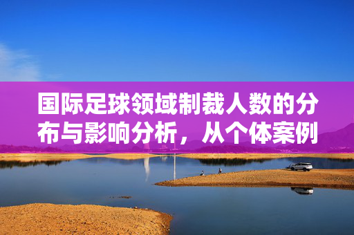 国际足球领域制裁人数的分布与影响分析，从个体案例到行业反思